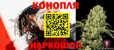 гидропоника Кумертау
