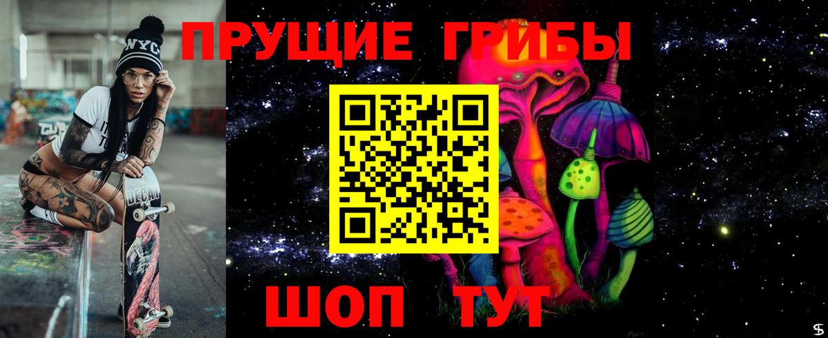 Кизилюрт  Псилоцибиновые грибы Psilocybe  Галлюциногенные грибы Psilocybe  Вход с VPN 